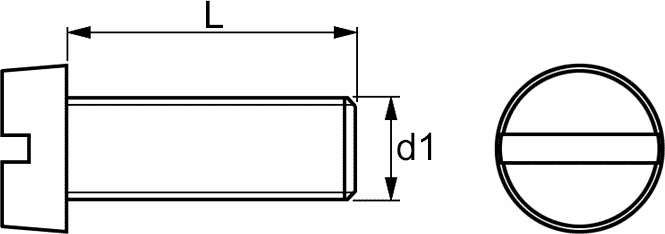 PLASTIČNI VIJAK M5x6mm PA nat